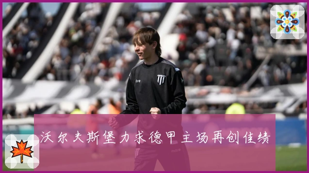 沃尔夫斯堡力求德甲主场再创佳绩