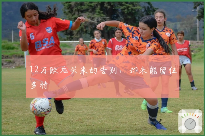 12万欧元买来的告别，却未能留住多特